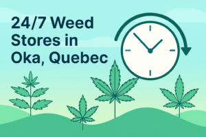 Illustration of cannabis plants under a sky with a clock symbol, alongside the text "24/7 Weed Stores in Oka, Quebec."