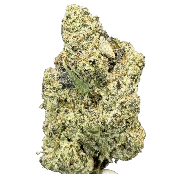 Garlic Sherb Hybrid