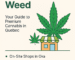 Infographic titled 'AAAA Oka Weed: Your Guide to Premium Cannabis in Quebec' with a cannabis leaf, storefront icon, and bullet points