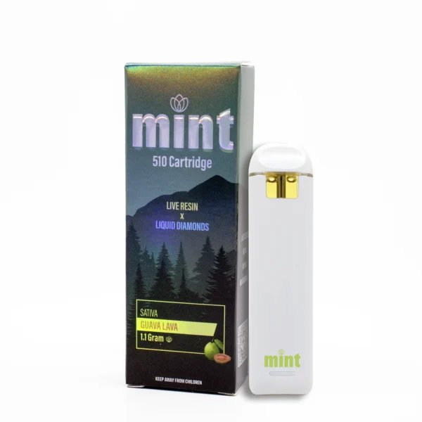 Mint Disposable 1.1g
