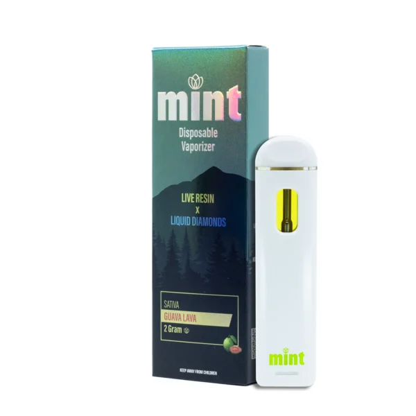 Mint Disposable 2g